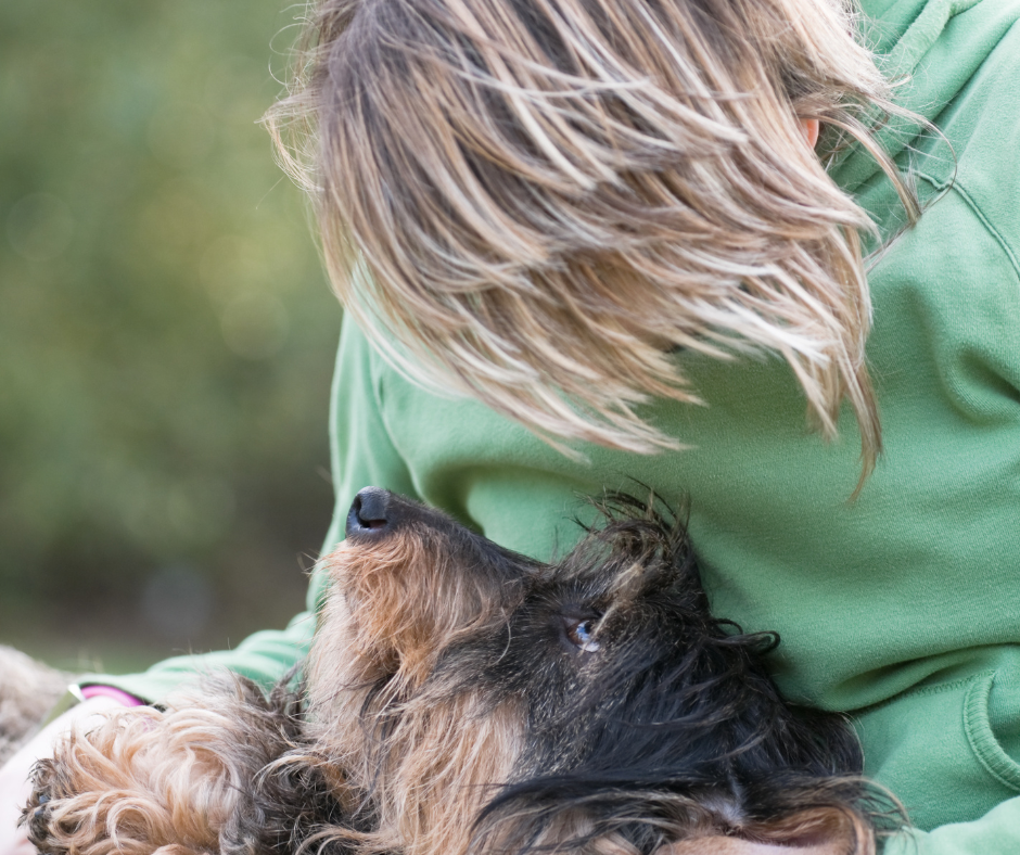 cremazione-animali-salerno